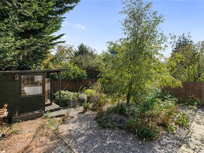Picture 16